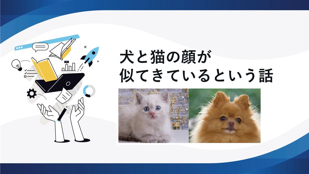犬と猫の顔が似てきているという話